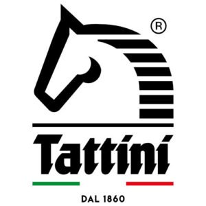 Tattini