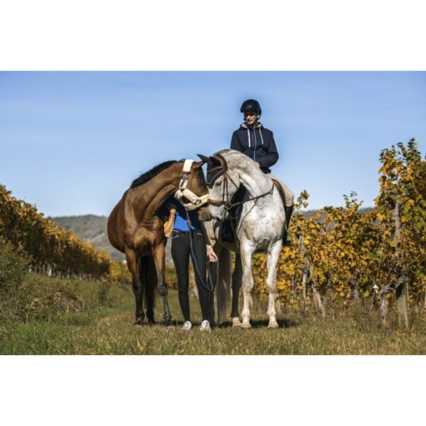 Sweat EQUITHÈME "Hervé" – Image 12