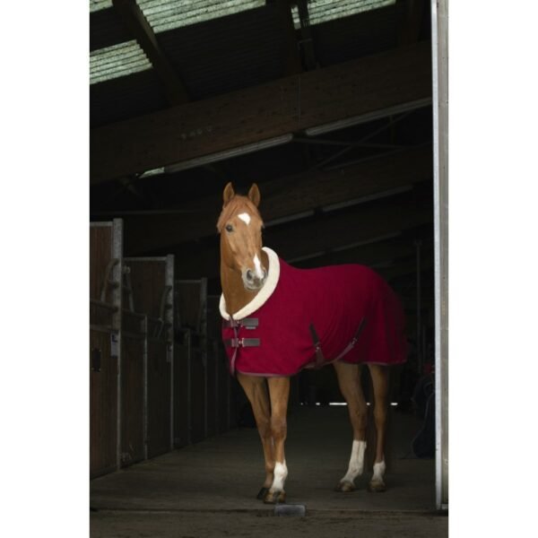 Chemise polaire EQUITHÈME "Teddy" – Image 5