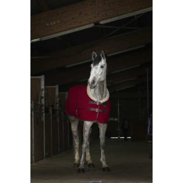 Chemise polaire EQUITHÈME "Teddy" – Image 6