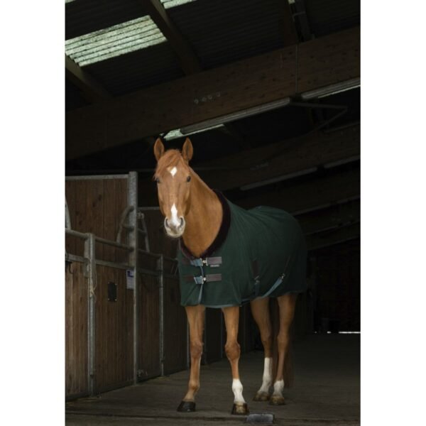 Chemise polaire EQUITHÈME "Teddy" – Image 7