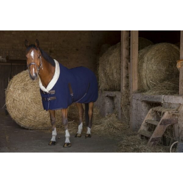 Chemise polaire EQUITHÈME "Teddy"