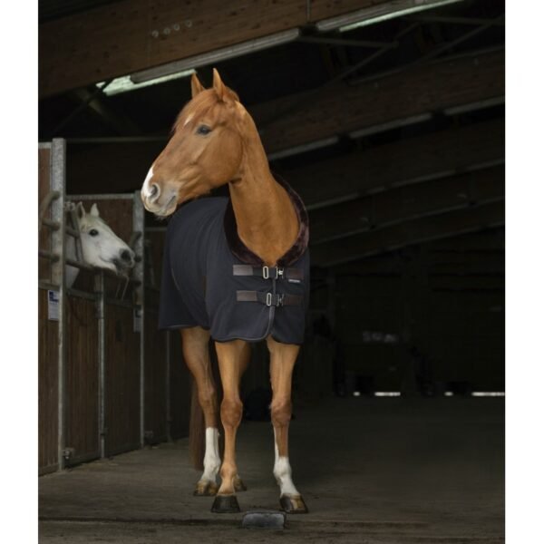 Chemise polaire EQUITHÈME "Teddy" – Image 8