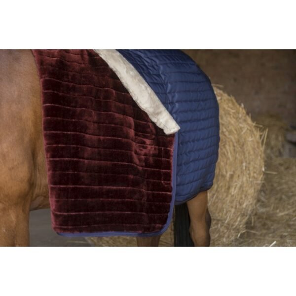 Couverture d'écurie EQUITHÈME "Teddy", doublée mouton synthétique – Image 2