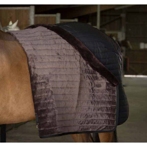 Couverture d'écurie EQUITHÈME "Teddy", doublée mouton synthétique – Image 13