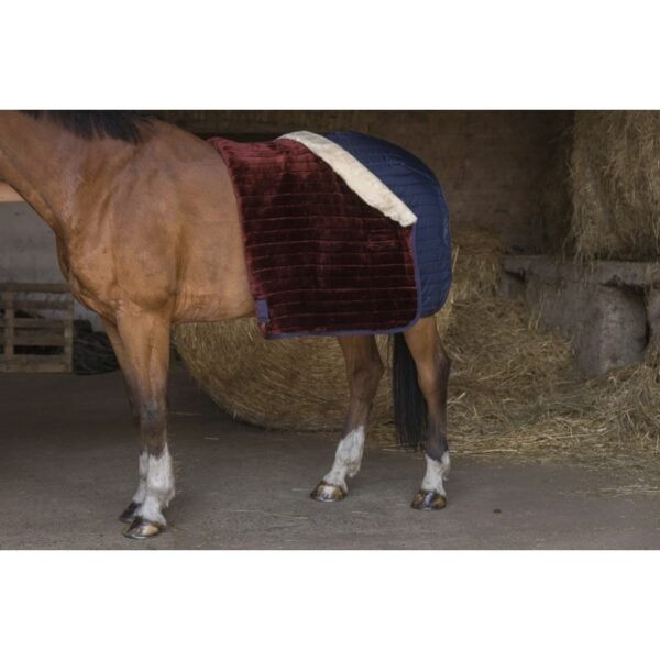 Couverture d'écurie EQUITHÈME "Teddy", doublée mouton synthétique – Image 3