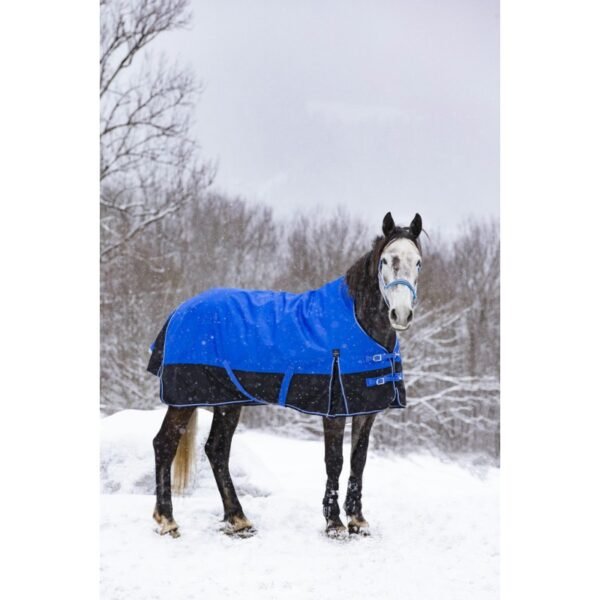 Couverture EQUITHÈME TYREX 1200D "Aisance" High Neck – Image 5