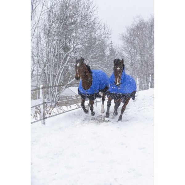 Couverture EQUITHÈME TYREX 1200D "Aisance" High Neck – Image 10