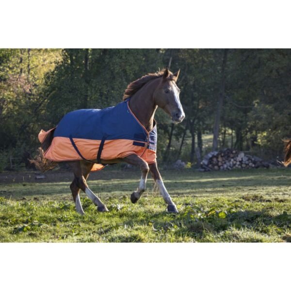 Couverture EQUITHÈME "TYREX 600 D" – Image 35