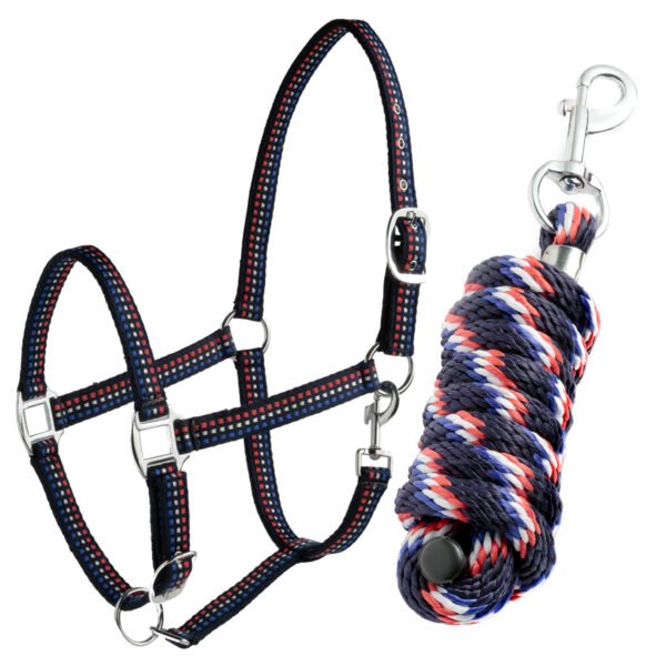 SET DASLO LICOL SURPIQUE + LONGE – Image 3