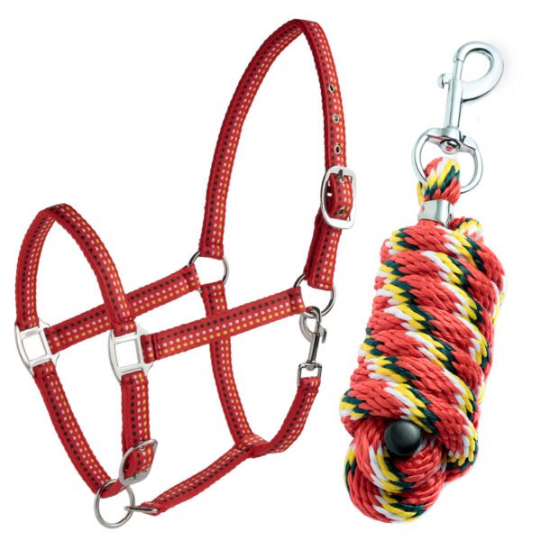 SET DASLO LICOL SURPIQUE + LONGE – Image 4