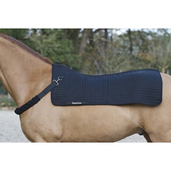 Collier pour back warmer BACK ON TRACK® – Image 2