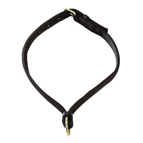 Collier pour chevaux NORTON