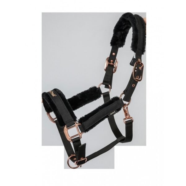 Licol BACK ON TRACK® "Haze Collection" – Image 4