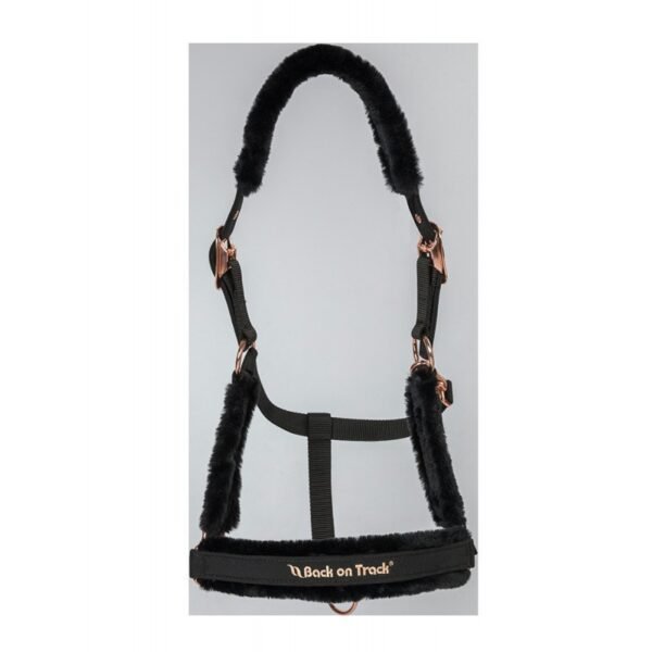 Licol BACK ON TRACK® "Haze Collection" – Image 7