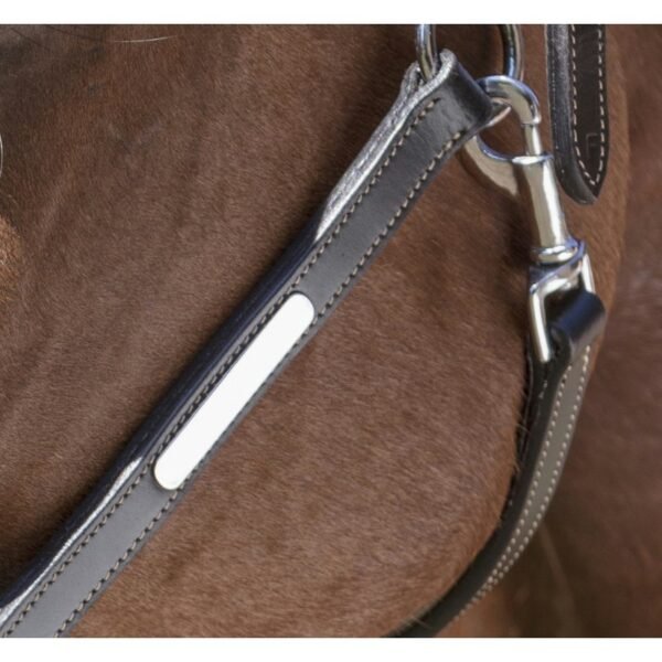 Licol cuir NORTON PRO "Grooming" – Image 5