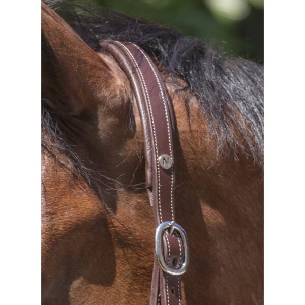Licol cuir NORTON PRO "Grooming" – Image 6