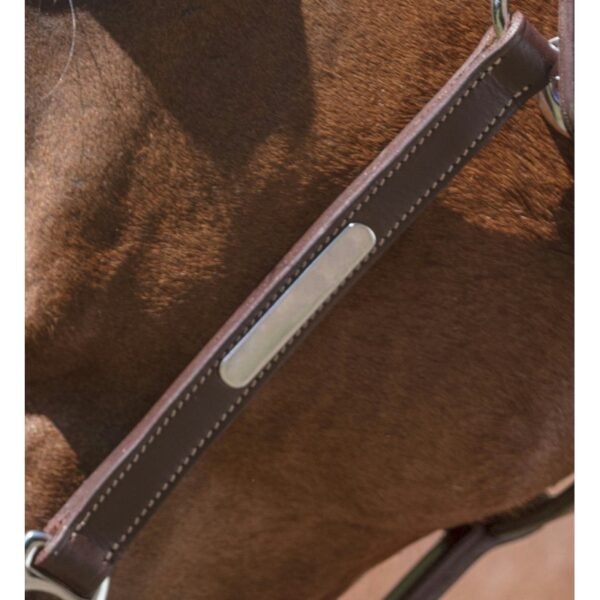 Licol cuir NORTON PRO "Grooming" – Image 7