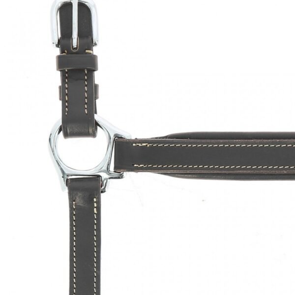 Licol cuir NORTON PRO "Grooming" – Image 8