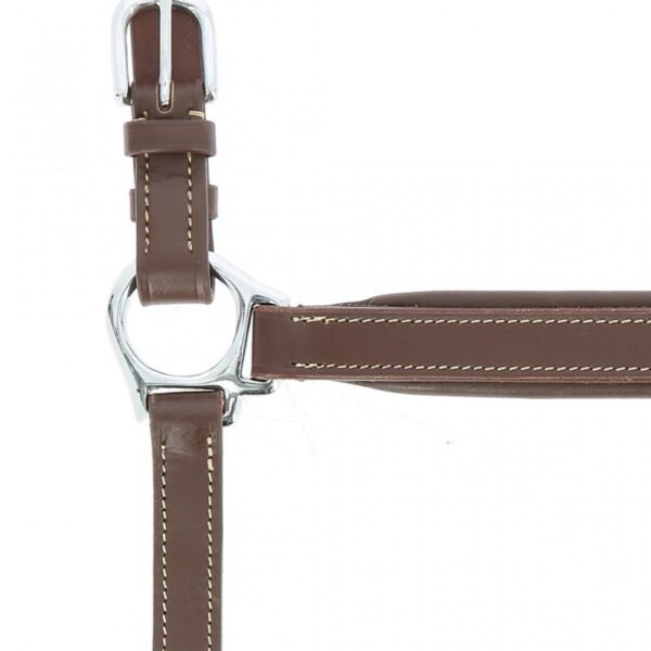 Licol cuir NORTON PRO "Grooming" – Image 9