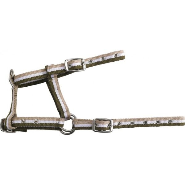 Licol foal NORTON réglable – Image 6