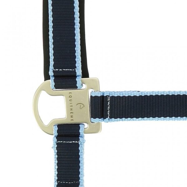 Licol + longe EQUITHÈME "Satiné" – Image 2