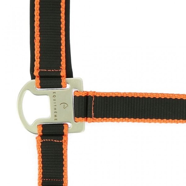 Licol + longe EQUITHÈME "Satiné" – Image 3