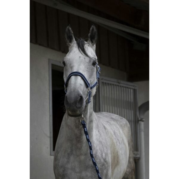 Licol + longe EQUITHÈME "Satiné" – Image 7