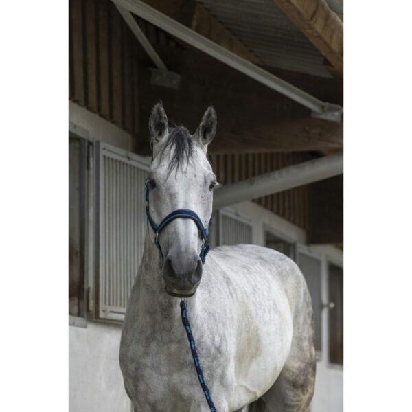 Licol + longe EQUITHÈME "Satiné" – Image 10