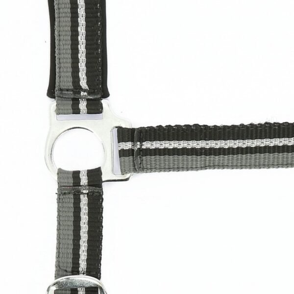 Licol + longe NORTON "Brillant" – Image 4