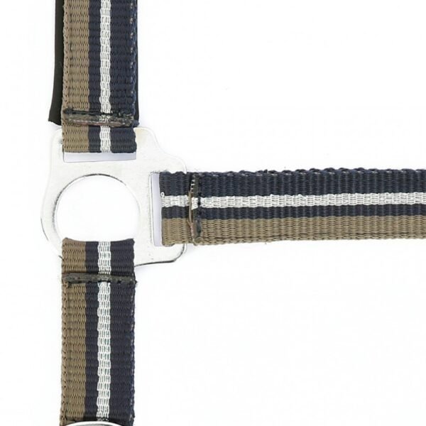 Licol + longe NORTON "Brillant" – Image 6