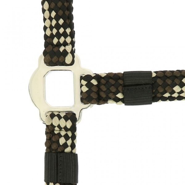 Licol + longe NORTON "Tressé" – Image 9