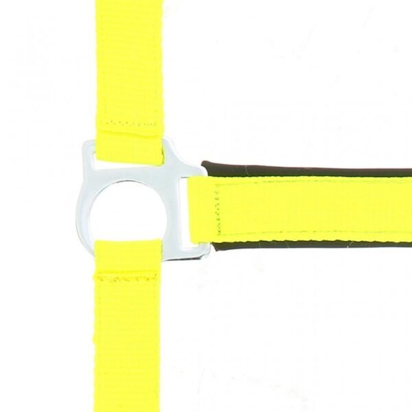 Licol NORTON "Fluo" doublé – Image 8