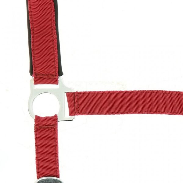 Licol NORTON nylon, doublé néoprène – Image 11