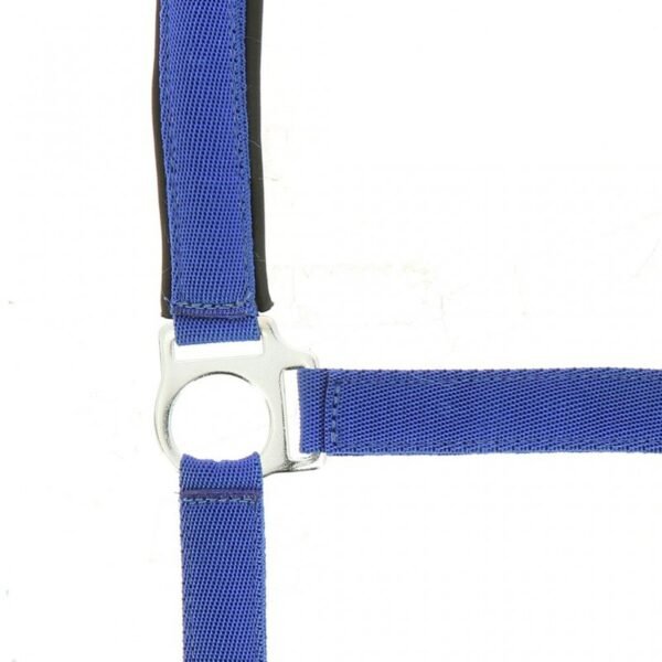 Licol NORTON nylon, doublé néoprène – Image 12