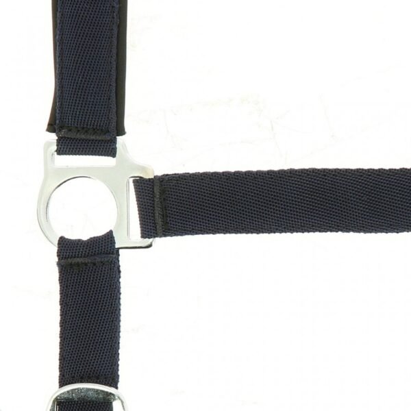 Licol NORTON nylon, doublé néoprène – Image 13