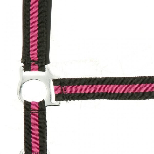 Licol NORTON nylon, doublé néoprène – Image 14