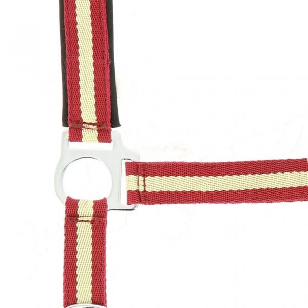 Licol NORTON nylon, doublé néoprène – Image 15