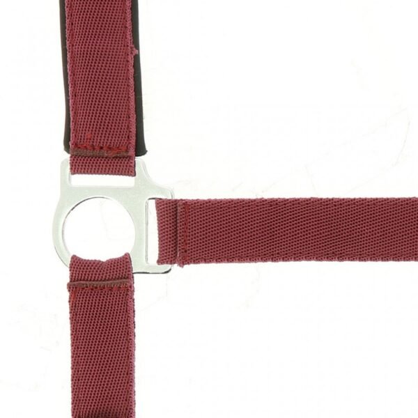 Licol NORTON nylon, doublé néoprène – Image 17