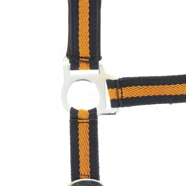 Licol NORTON nylon, doublé néoprène – Image 20