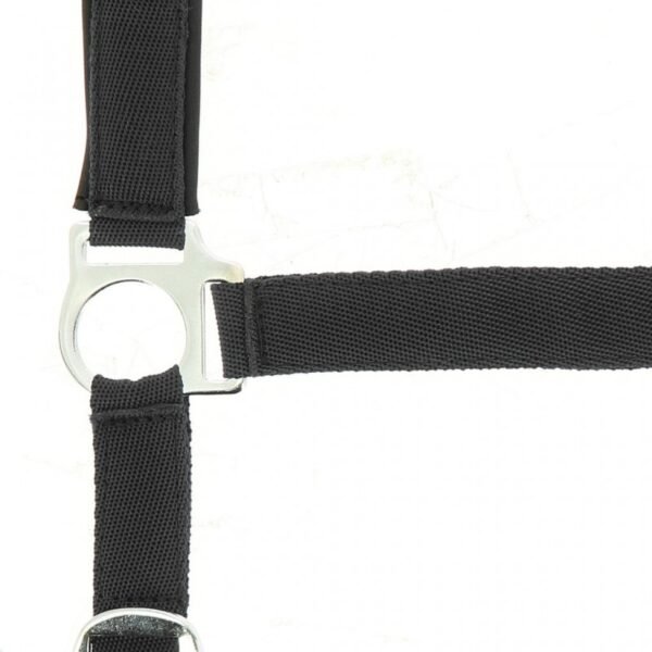 Licol NORTON nylon, doublé néoprène – Image 10