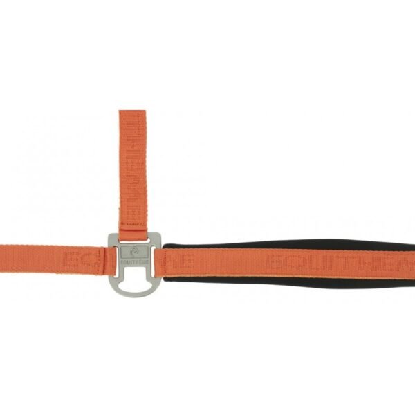 Licol nylon EQUITHÈME - Jacquard – Image 21