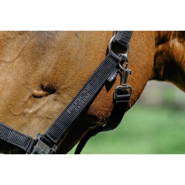 Licol nylon EQUITHÈME - Protector – Image 13