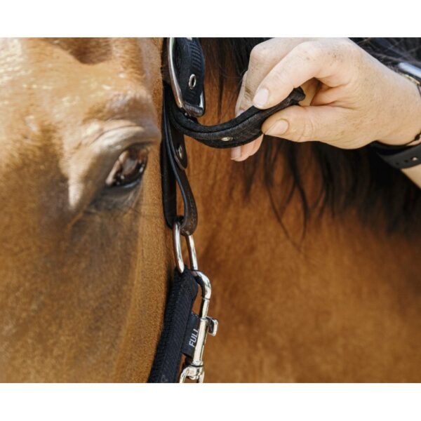 Licol nylon EQUITHÈME - Protector – Image 15
