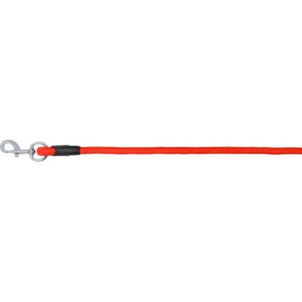 Longe d'attache NORTON "Clip" – Image 2