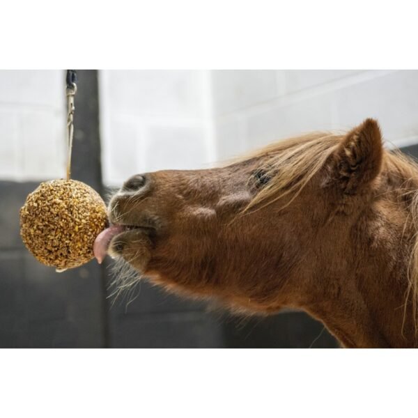 Aliment complémentaire LIKIT "Stall Ball" – Image 9