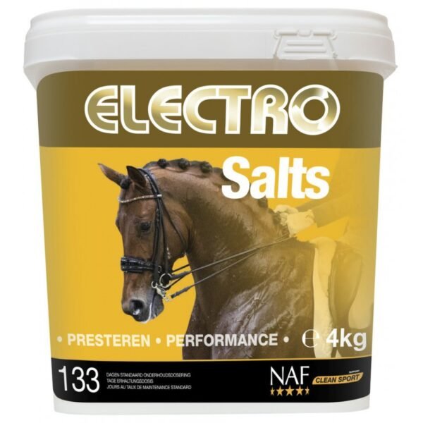 Aliment complémentaire NAF "Electro Salts" – Image 2