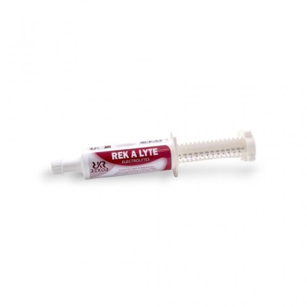 Aliment complémentaire REKOR "Rek A Lyte" Flash – Image 2