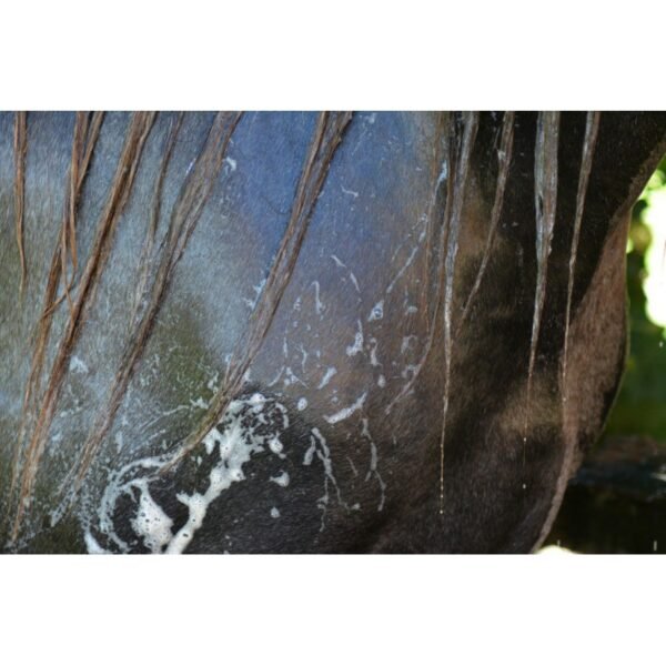 Easy Shine Grey RAVENE – Image 4