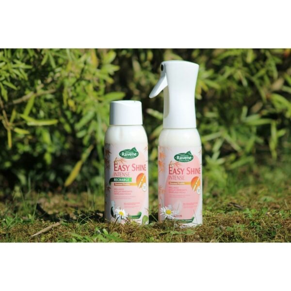 Easy Shine RAVENE Intense, Recharge – Image 2